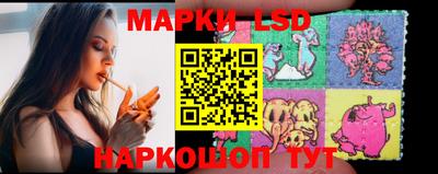 индика Усть-Джегута