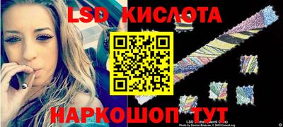 индика Усть-Джегута