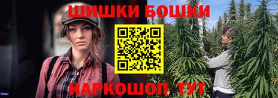 индика Усть-Джегута