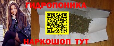 индика Усть-Джегута